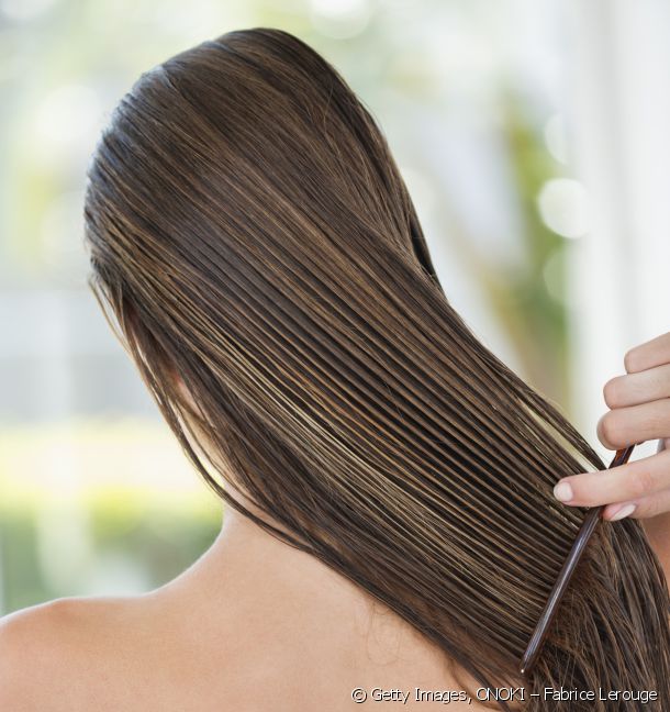 13303-detangling-an-essential-step-article_media_block-1.jpg 13303-detangling-an-essential-step-article_media_block-1.jpg