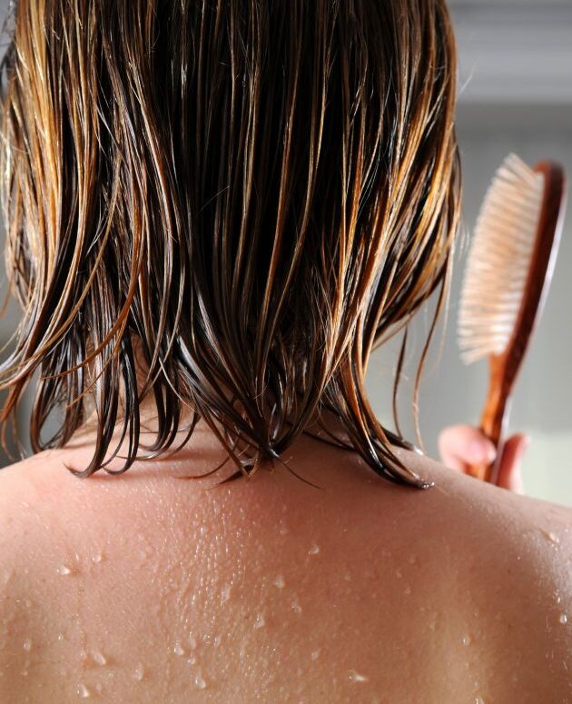 Why shouldn't you brush wet hair?