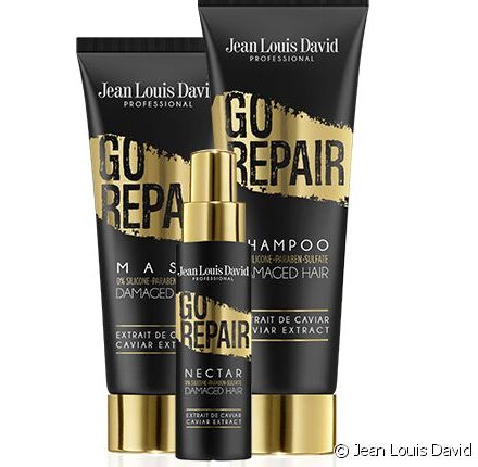 A closer look at the Go Repair regime!