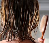 Why shouldn't you brush wet hair?